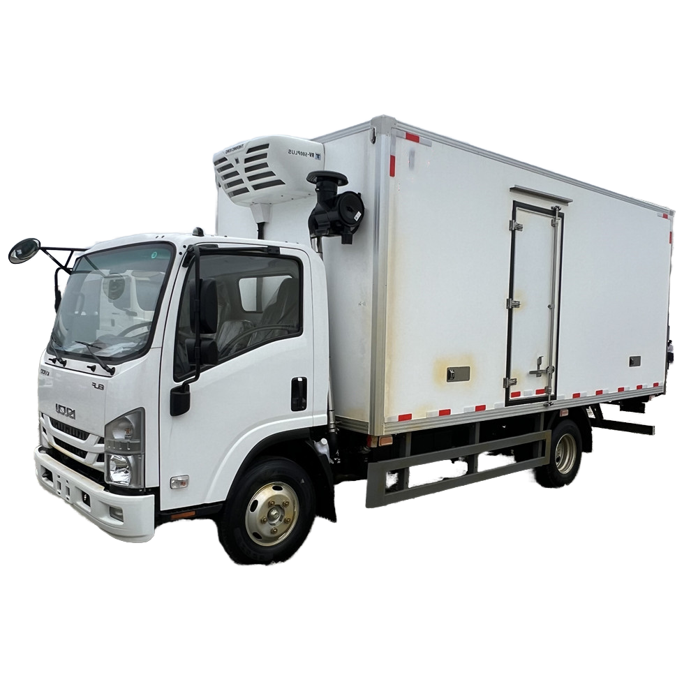 Brand New Euro 6 Emission Thermo King Cooling Freezer Manual Transmission Light Van Cargo Refrigerat