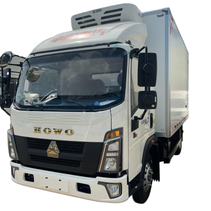 China HOWO 4x2 Frozen Truck 17 Cubic Meters, 300HP MC07 Engine, Custom Cold Storage Box